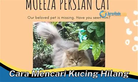 Menemukan Nama Kucing Bet yang Sempurna untuk Sahabat Berbulu Anda