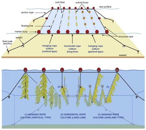 Menfuckingmoms. .  <a href=https://myfirstdakota.holtonrobotics.org/ebawa/scroll-to-anchor.h...