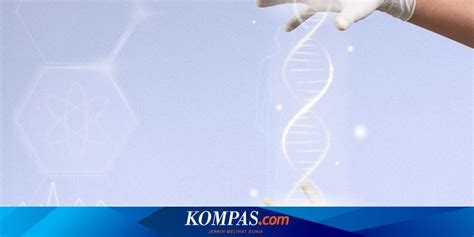 Mengenal Jenis dan Penyebab Mutasi DNA - KOMPAS.com