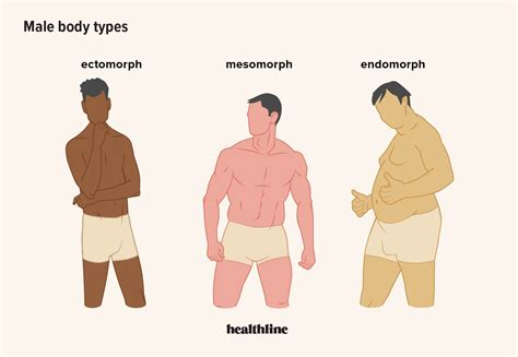 Mens Body Types Chart