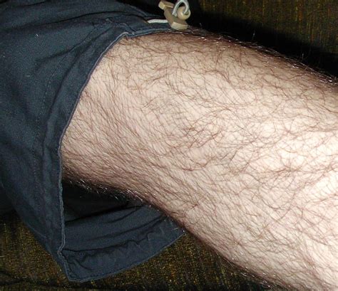 Mens pubic hair. Background Pubic hair grooming involves the partial or complete removal of pubic hair, and it is a common practice among men and women. Grooming is more … 