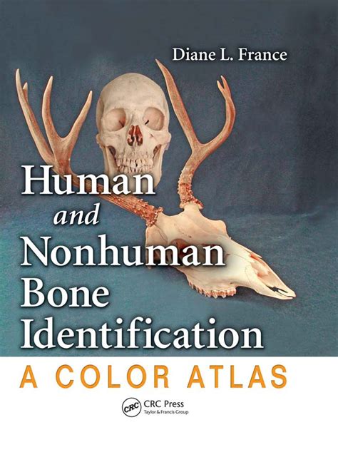 Menschliche und nichtmenschliche knochenidentifikation human and nonhuman bone identification a concise field guide. - Stanley premier garage door opener manual.