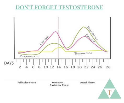 Menstrual cycle testosterone levels.  Testosterone should be measured ...