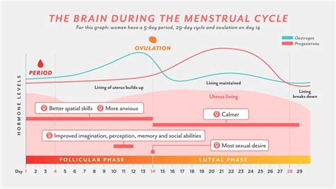 th?q=Menstrual cycle video sex