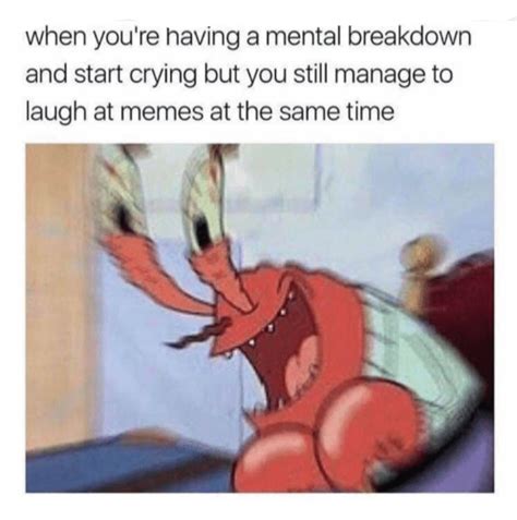 Mental Breakdown Meme Template