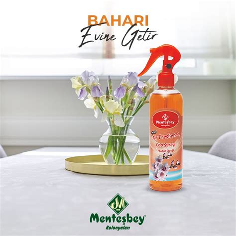 Mentesbey Halı ve Koltuk Yıkama