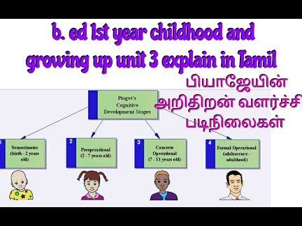 Mentor Meaning in Tamil: Unlocking Success and Potential