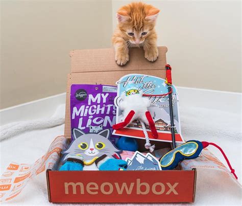 Meow box. Overview . Meowbox is second to none when it comes to cat subscription boxes. This service specializes in creative, theme-based boxes with distinctive treats and entertaining cat toys. To give you an example, one of their past boxes—cleverly named: Pumpkin Spice and Everything Mice—contained several unique toys crafted with high … 