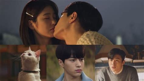 Meow the Secret Boy Ending Explained Yusuf-has-David.