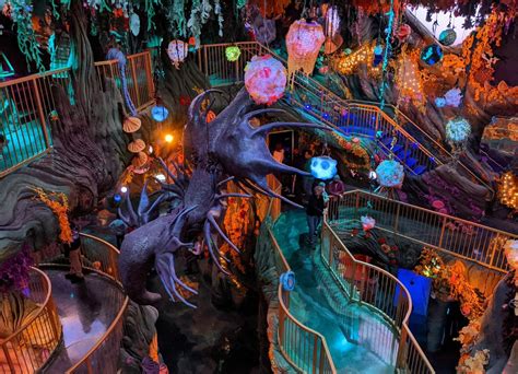 Meow Wolf was originally founded by a group of artists i