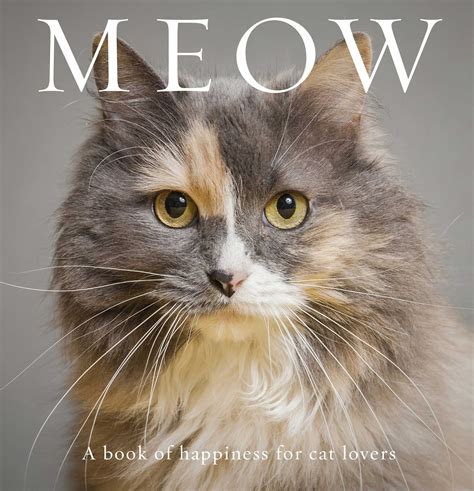 Download Meow A Book Of Happiness For Cat Lovers By Anouska Jones