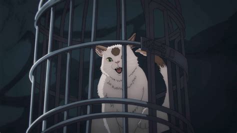 🍑 Meowy Leaked [CLIP] 231 Vids