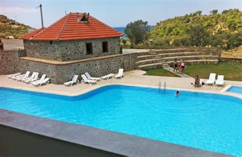 codini.rgarabwor.edu.pl. 