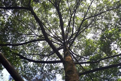 Meranti 4D: Why Remote Patient Monitoring Technology Could Save Your Life image 1