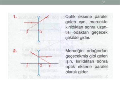 Merceklerde Özel Işınlar Konu Anlatımı (Videolu), Örnek  Kunduz. 