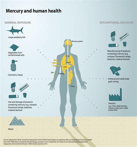 Mercury and Health Science