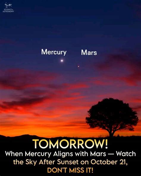 Mercurymars Leaked (SEX) 🍑 212 Photos