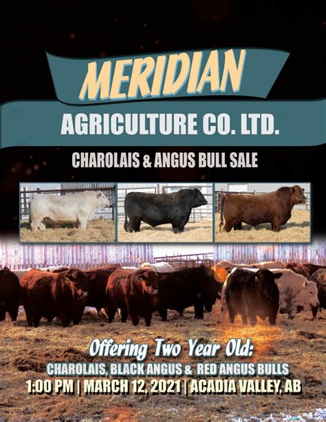 Meridian Ag 2024 Bull Sale by Today