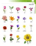 Full Download Merriamwebsters Spanishenglish Visual Dictionary By Merriamwebster