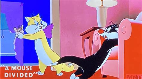 Merrie Melodies - The Cat