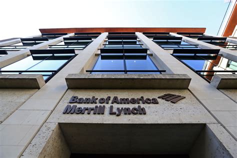 Merrill Lynch has appointed Greg McGauley to serve as head of Merrill Private Wealth Management, International and Institutional, parent company Bank of America said late Friday. The news, which ...