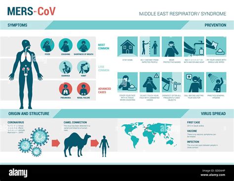 Mers: What are the symptoms, how does the virus spread – and …