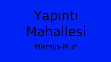 Mersin Mut Esencay Mahallesi terapi halı yıkama