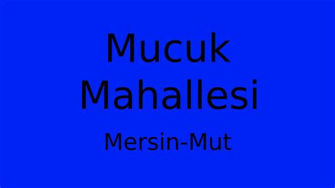 Mersin Mut Mucuk Mahallesi terapi halı yıkama