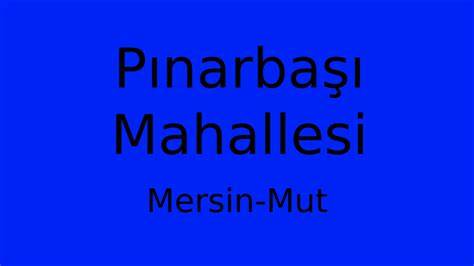 Mersin Mut Pinarbasi Mahallesi terapi halı yıkama