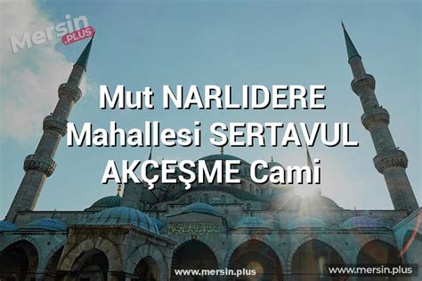 Mersin Mut Sucati Mahallesi terapi halı yıkama