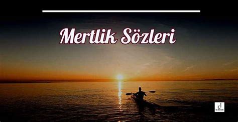 Mertlik Halı ve Koltuk Yıkama