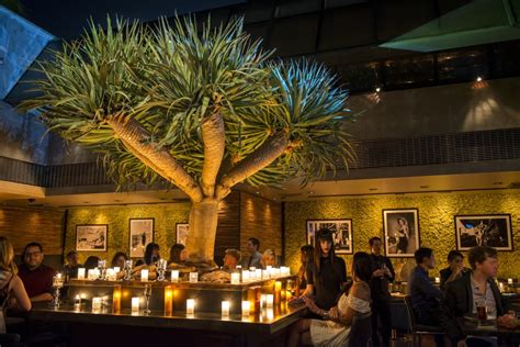 Mesa costa mesa. Owners of the Plot in Costa Mesa serve up culinary consciousness in ‘Plantscape’ dinner series. Owners of the Plot in Costa Mesa, husband and wife … 
