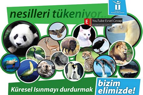 Mesajınız Var afiş Afiş 5 .