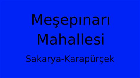 Mesepinari Halı ve Koltuk Yıkama