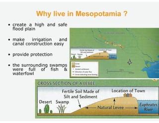 Mesopotamia: Protection Overhaul Reaches Safe Zone Control