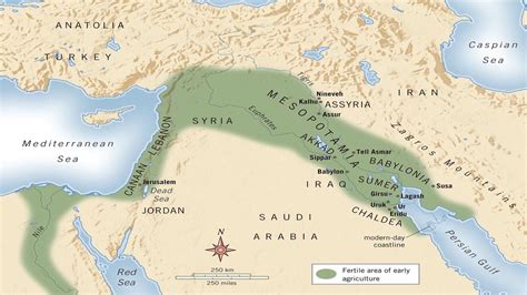 Mesopotamia Diagram Quizlet