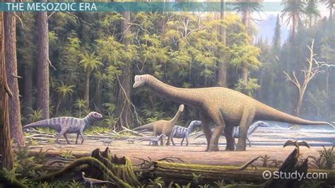 Mesozoic era What is, what happened, …