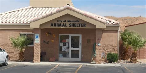 Mesquite animal adoption center. Things To Know About Mesquite animal adoption center. 