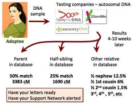 Messaging DNA relatives - Adoption Network