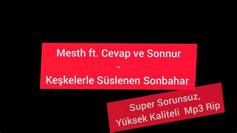 veodersti.rgarabwor.edu.pl. 