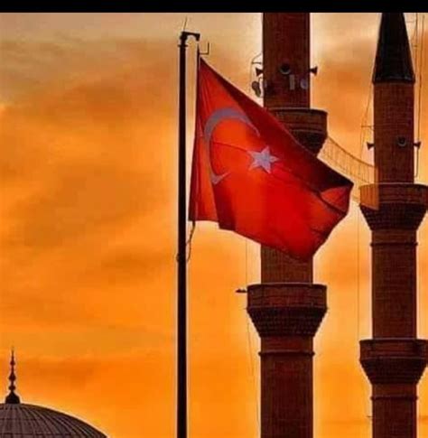 codini.rgarabwor.edu.pl. 