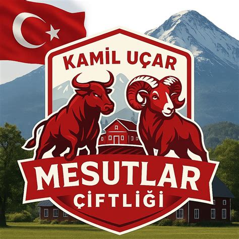 Mesutlar Halı ve Koltuk Yıkama