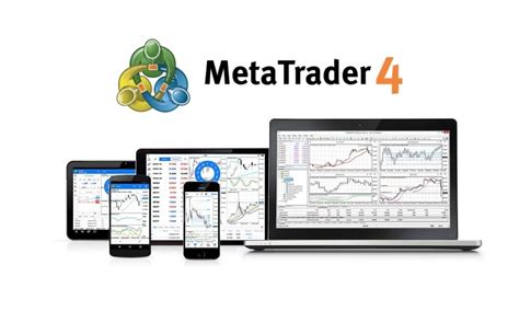 Meta4 brokers. Things To Know About Meta4 brokers. 