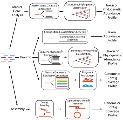 Metagenomics - Sequence-Alignment