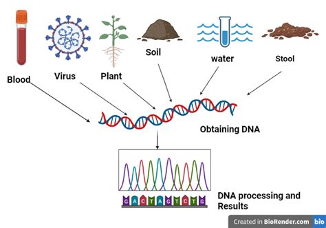 Metagenomics - prefetch