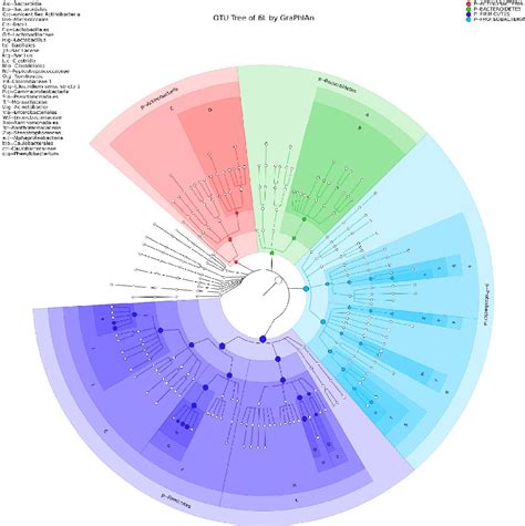 Metagenomics analysis of the fecal microbiota in Ring-necked