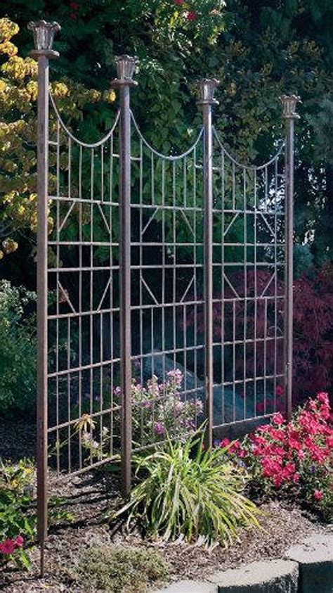 Metal Trellises You