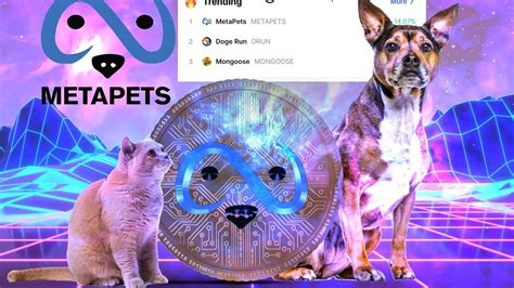 Metapets coin