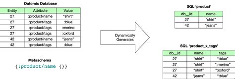 Metaschema Reference Datomic