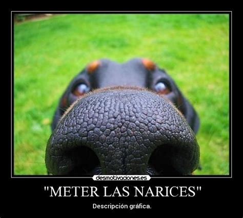 Meter las Narices Where It Doesn't Belong: Unveiling the Secret Nuances of Nosy in Spanish Slang